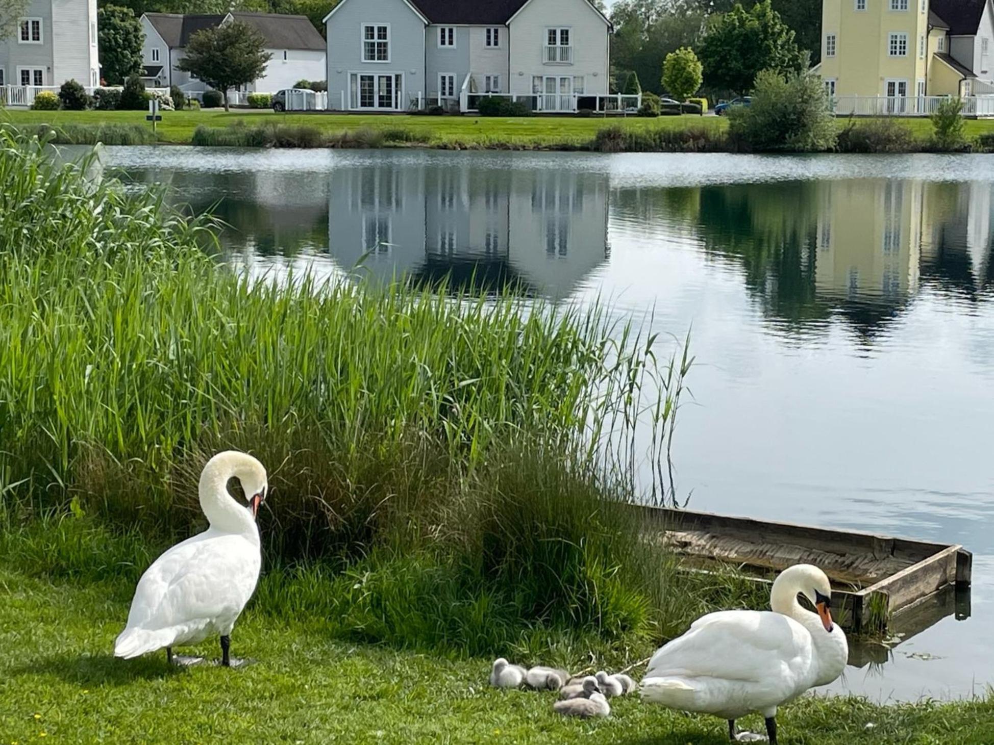 Nyhavn Lakeside Cottage Cirencester Exterior photo